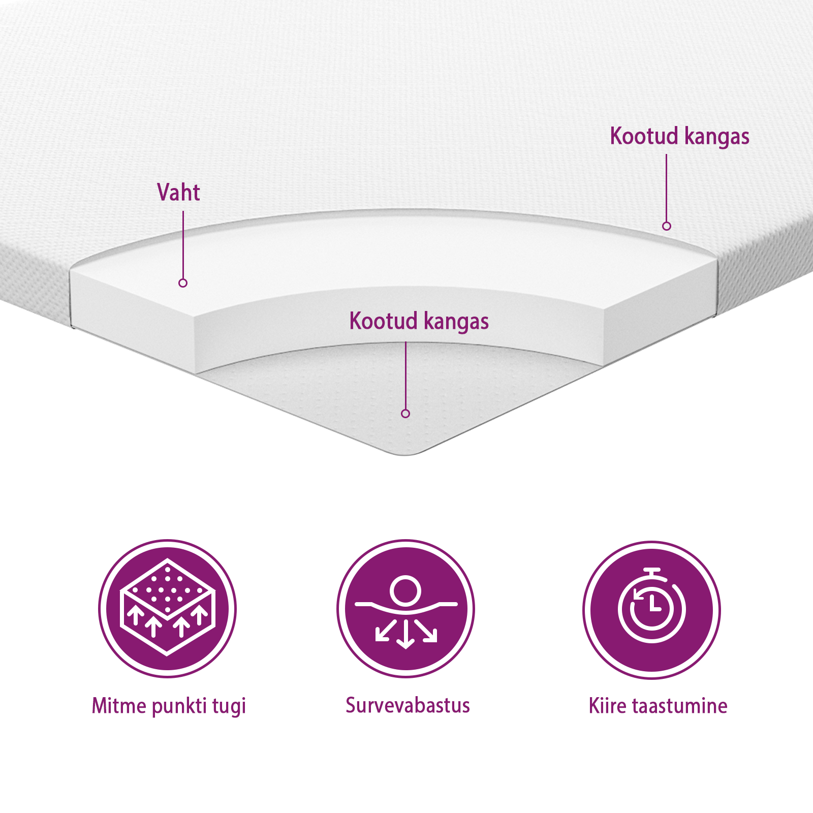 https://www.vidaxl.ee/dw/image/v2/BFNS_PRD/on/demandware.static/-/Library-Sites-vidaXLSharedLibrary/et/dwc81ee851/TextImages/topper_inner_structure-EE.png