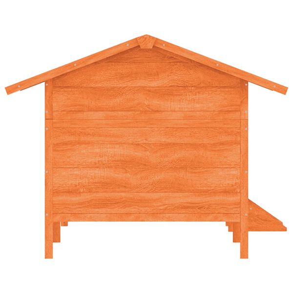 vidaXL koerakuut, pruun, 159 x 120 x 88,5 cm, männipuit