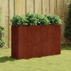 vidaXL taimekast, 120 x 40 x 80 cm, Corten-teras