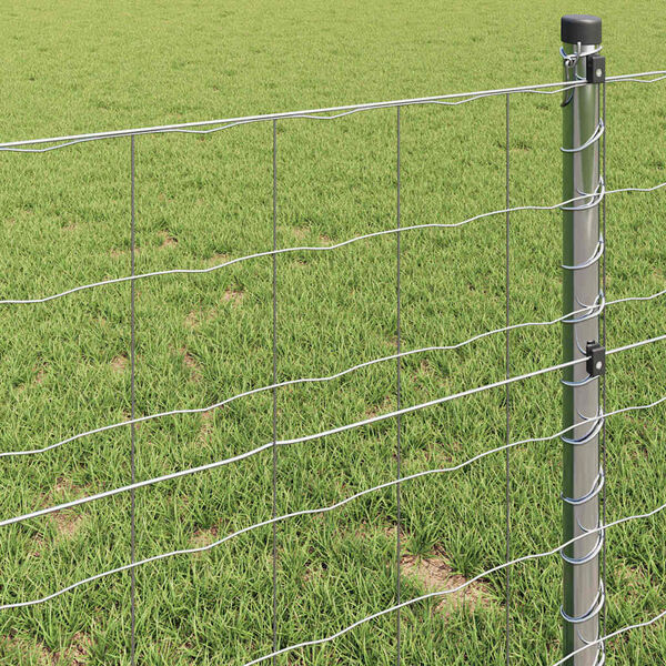 vidaXL Euroopa aed Hõbedane 0.8 x 10 m Kuumtsinkitud raud