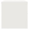 vidaXL dokumendikapp, valge, 90 x 40 x 40 cm, teras