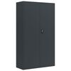 vidaXL dokumendikapp, antratsiithall, 105 x 40 x 180 cm, teras