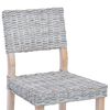 vidaXL S&ouml;&ouml;gitool 2 pcs Valge pesu 46 x 55 x 84 cm Kubu rattan