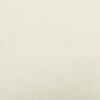 vidaXL Diivanipadjad 2 pcs cream 120 x 40 cm Korter kangas