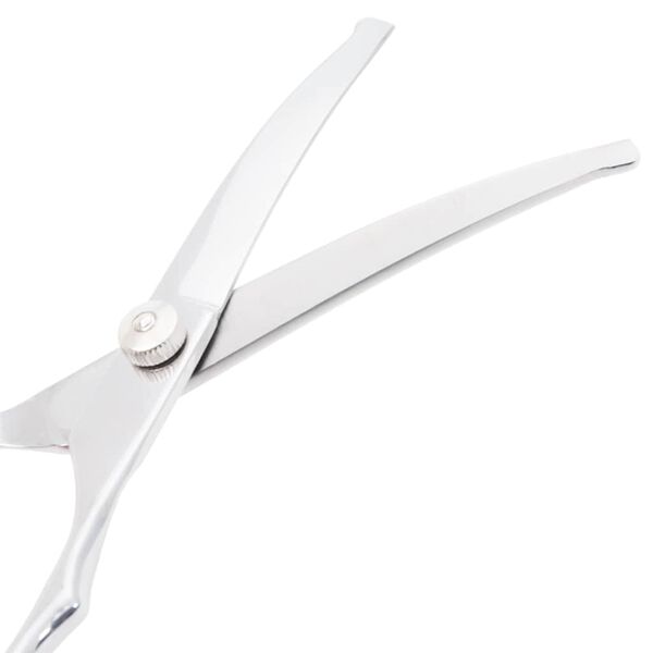 vidaXL 6-osaline roostevabast terasest koerte hoolduskääride komplekt