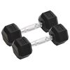 vidaXL hantlid 2 tk, 4 kg, t&auml;ismetallist