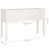 vidaXL aia taimekast, 2 tk, valge 110x31x70 cm, toekas männipuit