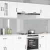 vidaXL K&ouml;gi Splashback 2 pcs L&auml;bipaistev 110 x 60 cm karastatud klaas