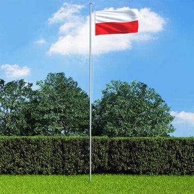 vidaXL Poola lipp ja lipumast, alumiinium, 6,2 m