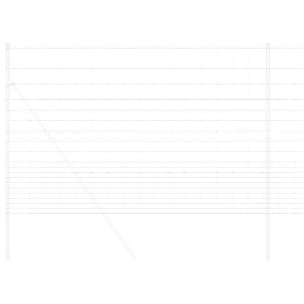 vidaXL Karjamaa-aed Hall 1.6 x 10 m Teras