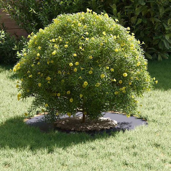 vidaXL sobiv lame puu r&otilde;ngaste jaoks 5 pcs Antratsiit &Oslash;30 / 60 cm Teras