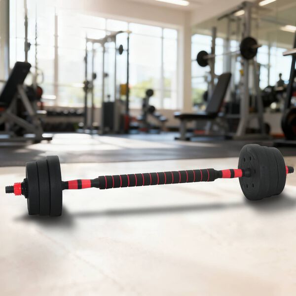 vidaXL 2-in-1 hantli ja kangiga komplekt 30kg Must ja punane