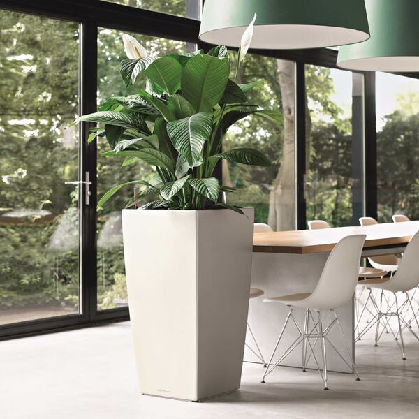 LECHUZA taimekast "Cubico 40 ALL-IN-ONE" k&otilde;rgl&auml;ikega valge 18191