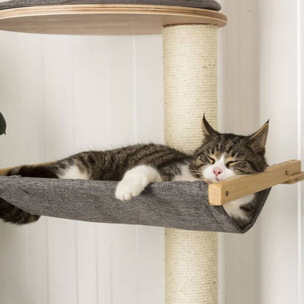 Kerbl seinale kinnitatav kassipuu Dolomit XL Tofana, hall, 185 cm