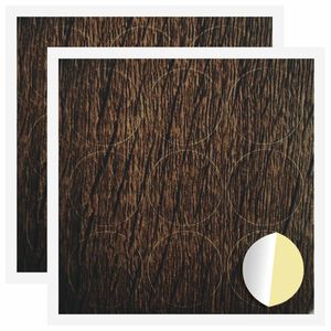 vidaXL Kleebis kruvi kate 2 pcs Pruun tamme &Oslash; 20 x 0,5 mm Kaetud paber