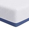 vidaXL Madrats Keskmiselt j&auml;ik 120 x 200 cm Valge ja Sinine