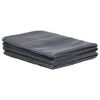 vidaXL telgimatt 250 x 450 cm antratsiithall