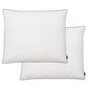 vidaXL sulgedest/udusulgedest rasked padjad, 2 tk, 70 x 60 cm, valge