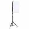 vidaXL fotostuudio komplekt valgustuse ja taustapildiga
