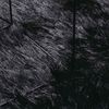 vidaXL kõrge narmaga Shaggy vaip, NAVARRA, must, 120x120 cm, polüester