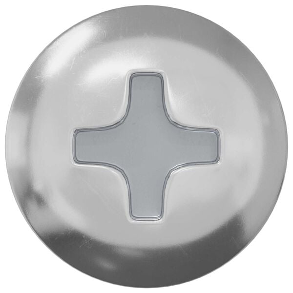 vidaXL Puidust Kruvid 2 pcs H&otilde;bedane M4 x 20 mm Teras