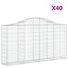 vidaXL kaarekujulised gabioonkorvid 40 tk, 200x30x100/120 cm, raud
