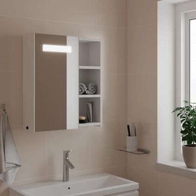 vidaXL LED-valgustusega vannitoa peegelkapp, valge, 45 x 13 x 52 cm
