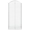 vidaXL kaarekujuline gabioonkorv, 100x50x200/220 cm, tsingitud raud