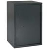 vidaXL Seifikarp lukuga Tumehall 35 x 31 x 50 cm Teras