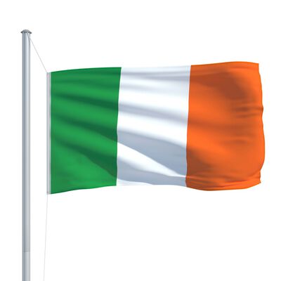 vidaXL Iirimaa lipp ja lipumast, alumiinium, 6,2 m