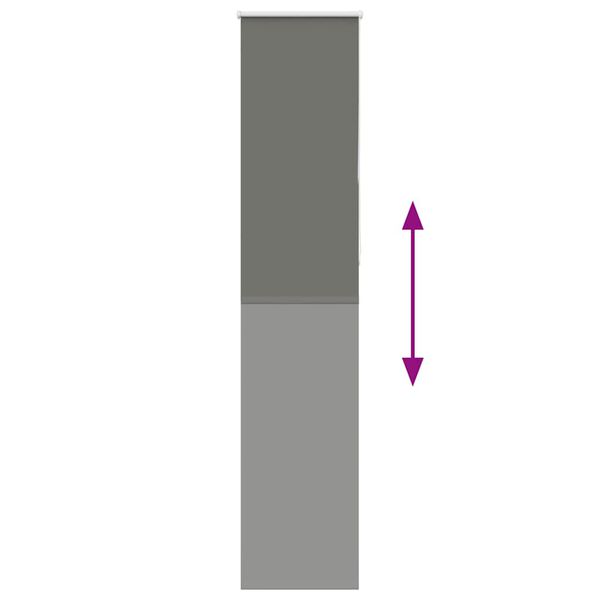 vidaXL pimendav ruloo hall 50x230 cm kanga laius 45,7 cm pol&uuml;ester