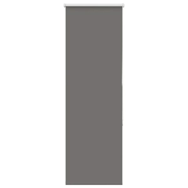 vidaXL pimendav ruloo hall 55x150 cm kanga laius 50,7 cm pol&uuml;ester