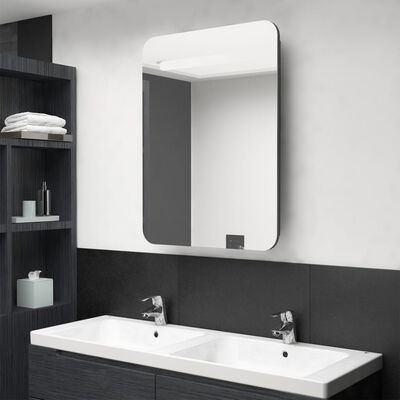 vidaXL LEDidega vannitoa peegelkapp, hall, 60 x 11 x 80 cm