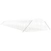 vidaXL kasvuhoone terasraamiga, valge, 96 m&sup2;, 24x4x2 m