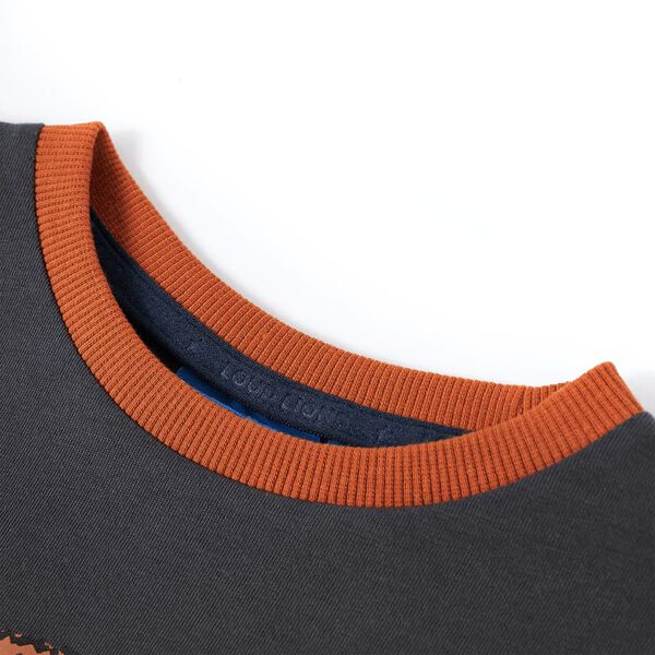 Pikkade varrukatega laste s&auml;rk, antratsiithall, 92