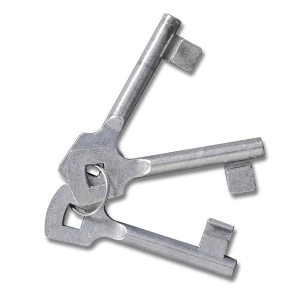 vidaXL aiavõrkvärav, ukseseina võre, 300 x 175 cm