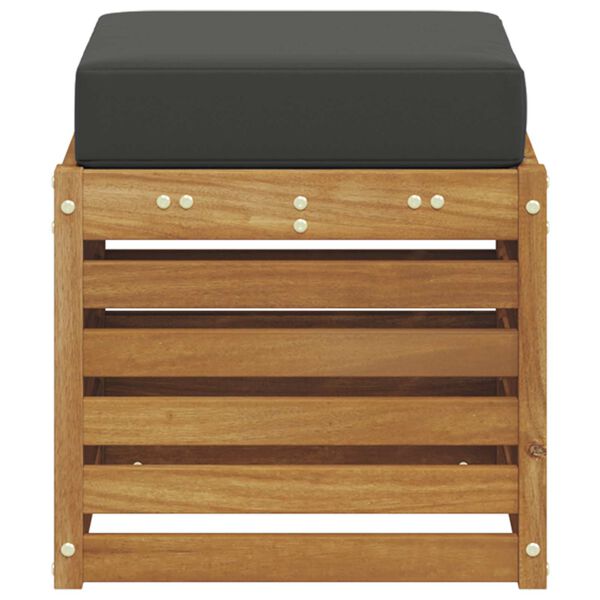 vidaXL Stoolben&scaron; padjaga 2 T&uuml;kk Looduslik ja antriit Tugev akatsiapuu