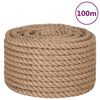 vidaXL džuudist n&ouml;&ouml;r, 100 m pikk, 16 mm paks