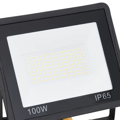 vidaXL käepidemega LED prožektor, 2 x 100 W, külm valge