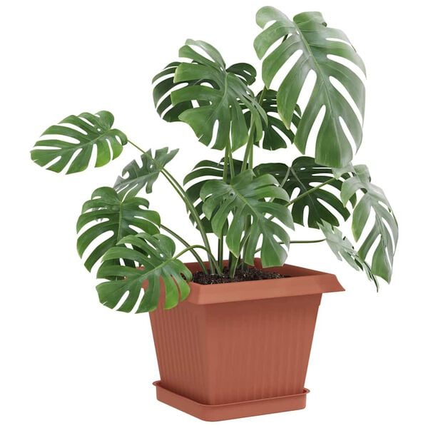 Kuvatakse tootepilt 3 / 10