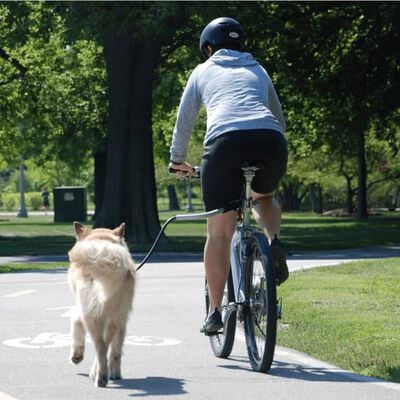 PetEgo universaalne koera jalgrattarihm "Cycleash" 85 cm
