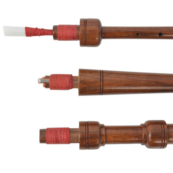 vidaXL laste &Scaron;oti torupill, roheline, must, &scaron;otiruuduline