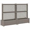 vidaXL Suur pott trellisega 2 pcs Hall 200 x 43 x 133,5 cm PP