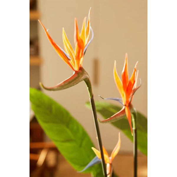 Emerald kunsttaim Strelitzia potis, lilledega, 120 cm