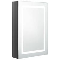 vidaXL LED vannitoa peegelkapp, säravhall, 50 x 13 x 70 cm