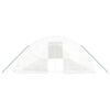 vidaXL kasvuhoone terasraamiga, valge, 60 m&sup2;, 12x5x2,3 m