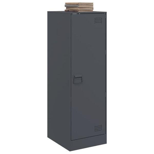 vidaXL puhvetkapp, antratsiit, 34,5x39x107 cm, teras