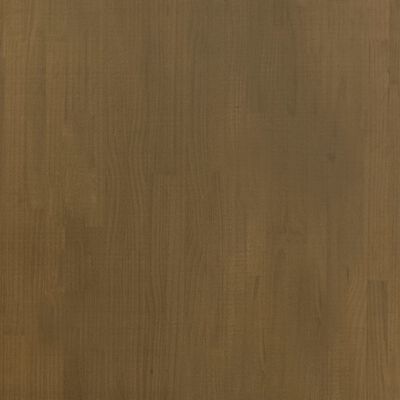 vidaXL hoiuriiul, 60 x 30 x 105 cm, pruun, männipuit