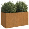 vidaXL taimekast, 62x30x29 cm, Corten teras