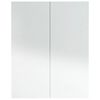 vidaXL vannitoa peegelkapp, 60 x 15 x 75 cm, MDF, säravvalge